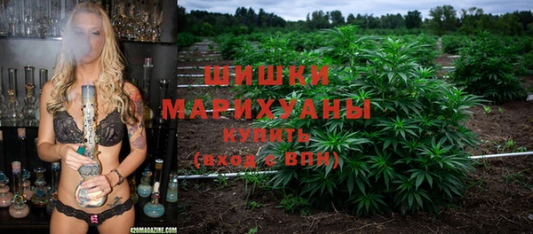 стаф Аркадак