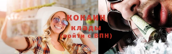 стаф Аркадак