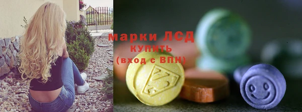стаф Аркадак