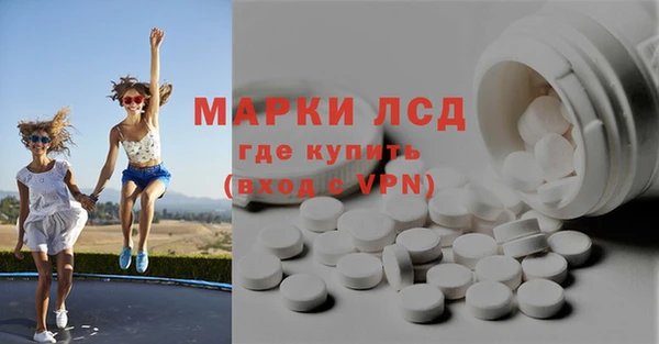 стаф Аркадак