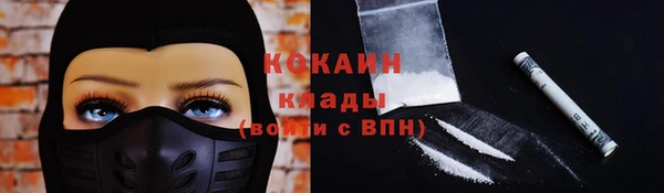 ешки Арсеньев