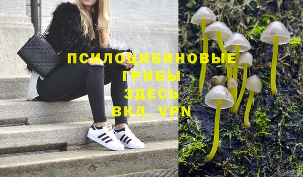 стаф Аркадак