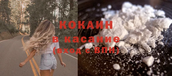 ешки Арсеньев