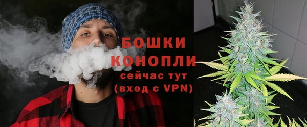 ешки Арсеньев