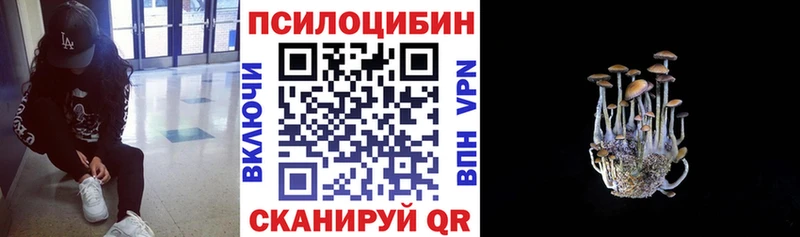 купить наркоту  Ростов  мега ONION  Галлюциногенные грибы MAGIC MUSHROOMS 